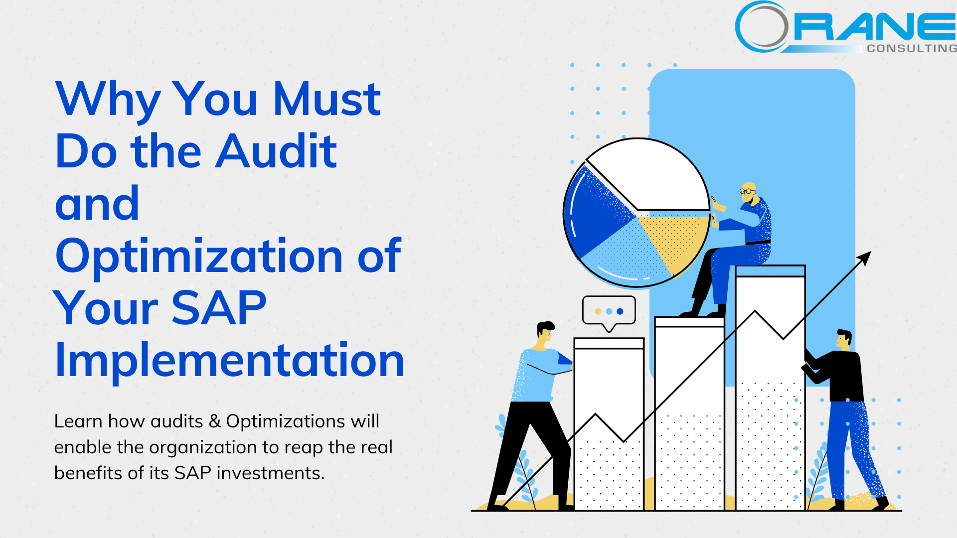 Read more about the article Why you Must Do the Audit and Optimization of Your SAP Implementation