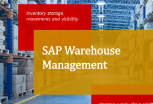 Read more about the article Best Practices of SAP Warehouse Management