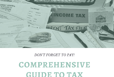 Read more about the article Comprehensive Guide to Tax Automation